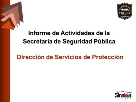 Dirección de Servicios de Protección Informe de Actividades de la Secretaría de Seguridad Pública.
