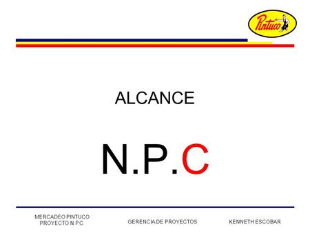 ALCANCE N.P.C MERCADEO PINTUCO PROYECTO N.P.C. GERENCIA DE PROYECTOS.