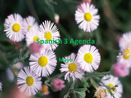 Spanish 3 Agenda Mayo. El 1/2 de Mayo Anuncios: Chapter 6 test 5/9 y 5/10 Objetivo: Aprender como usar Haber (6.1) p.240 Trabajos en la clase: Tarea: