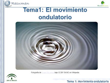 Tema1: El movimiento ondulatorio