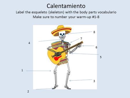 Calentamiento Label the esqueleto (skeleton) with the body parts vocabulario Make sure to number your warm-up #1-8 1 2 3 4 5 6 7 8.
