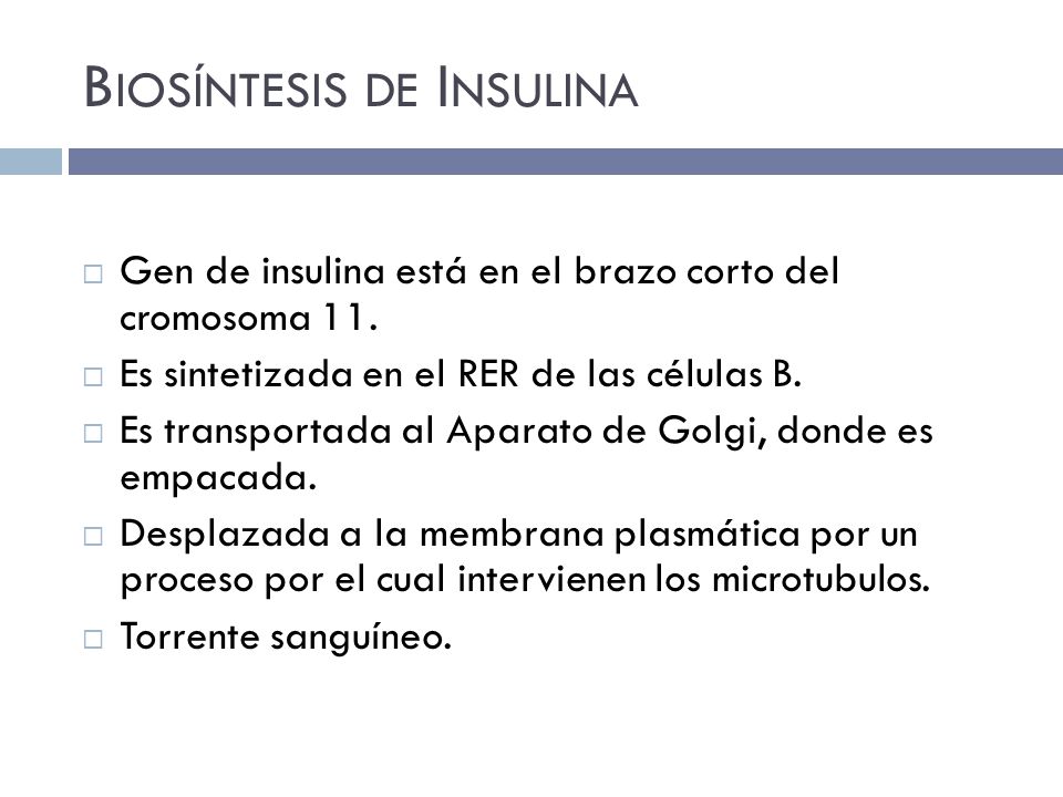 Páncreas Endocrino. - ppt descargar Páncreas Endocrino. - ppt descargar