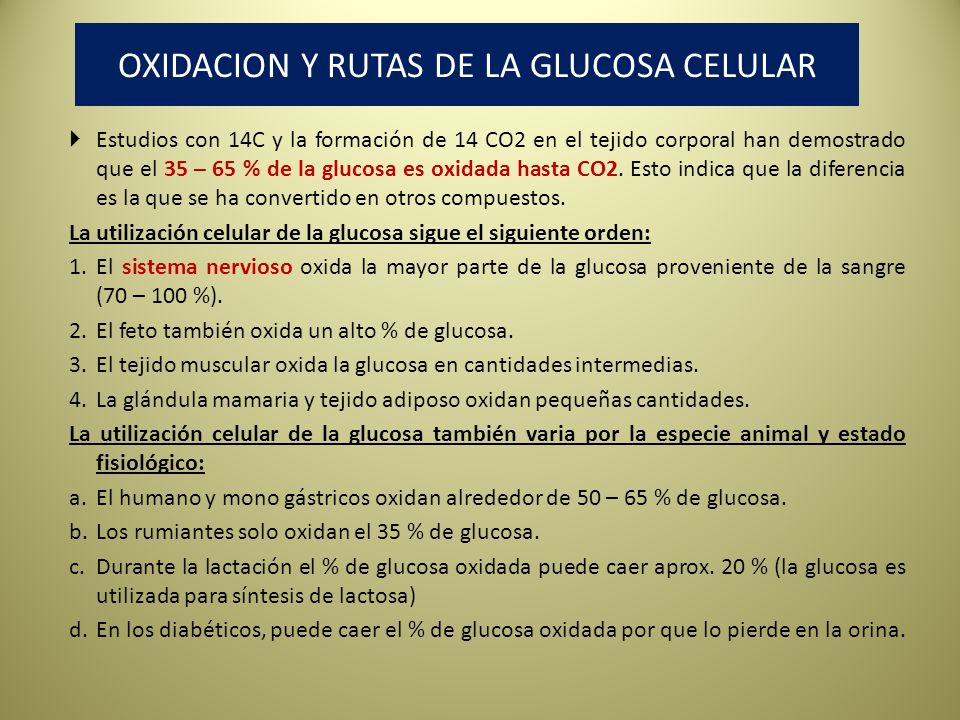 PREGUNTA 1: ¿Como calcula Usted 40 ATP??? - ppt descargar PREGUNTA 1: ¿Como calcula Usted 40 ATP??? - ppt descargar