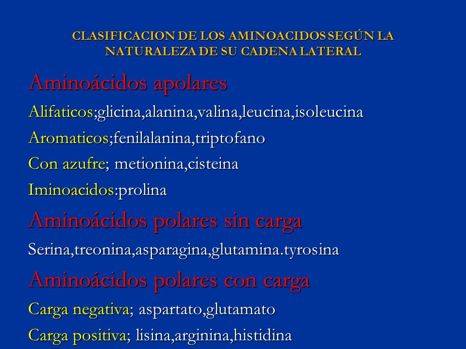 clasificacion de los aminoacidos segun sus cadenas laterales biomoleculas aminoacidos ppt video online descargar clasificacion de los aminoacidos segun sus cadenas laterales biomoleculas aminoacidos ppt video online descargar
