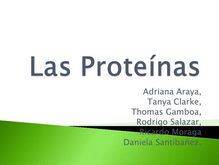 Adriana Araya, Tanya Clarke, Thomas Gamboa, Rodrigo Salazar, Ricardo Moraga Daniela Santibañez.