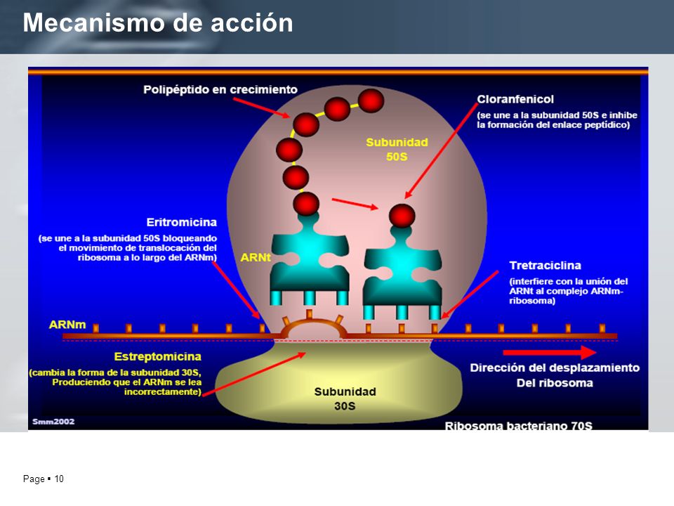 Accion Usa Reviews