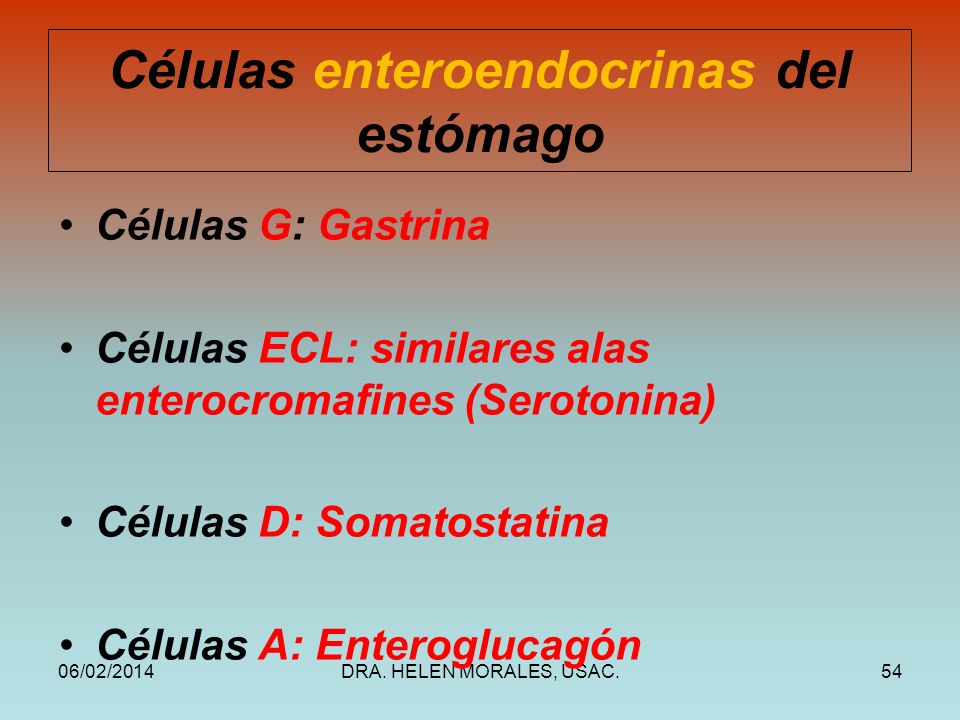 Histología del Esófago y Estómago - ppt video online descargar Histología del Esófago y Estómago - ppt video online descargar