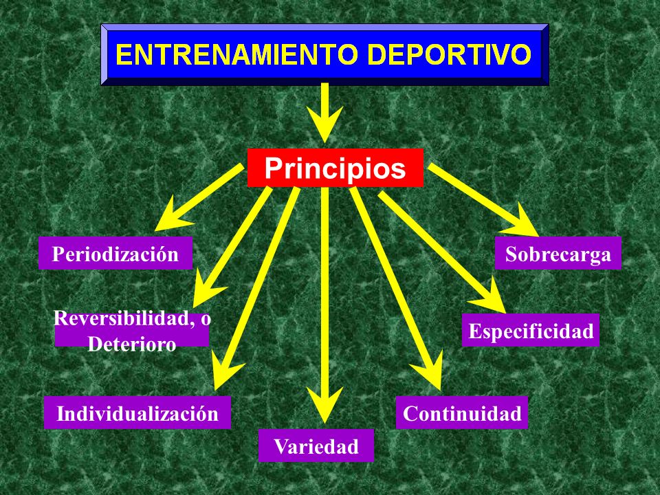 Resultado de imagen para principios de entrenamiento
