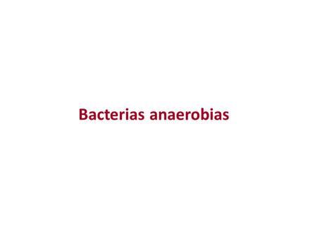 Bacterias anaerobias.