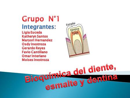 Bioquímica del diente, esmalte y dentina