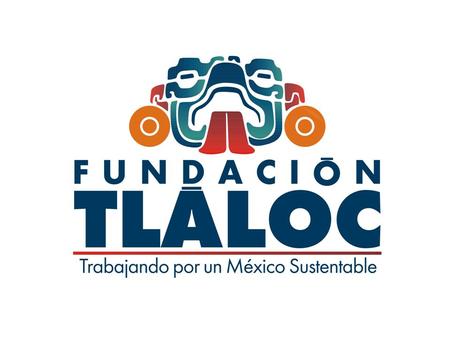 Somos una organización que contribuye a la construcción de ciudadanía ambiental para un México sustentable. MISIÓN.