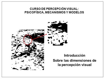 CURSO DE PERCEPCIÓN VISUAL: PSICOFÍSICA, MECANISMOS Y MODELOS Introducción Sobre las dimensiones de la percepción visual.