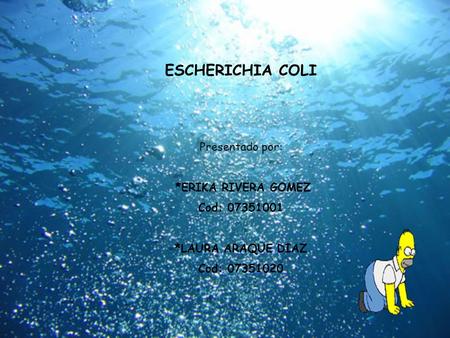 ESCHERICHIA COLI Presentado por: *ERIKA RIVERA GOMEZ Cod: