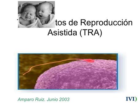 Tratamientos de Reproducción Asistida (TRA) Amparo Ruiz. Junio 2003 IVI)