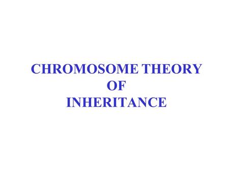 CHROMOSOME THEORY OF INHERITANCE. Proposed in 1902 by Walter Sutton and Theodor Boveri Noticed that transmission of chromosomes closely parallels Mendelian.
