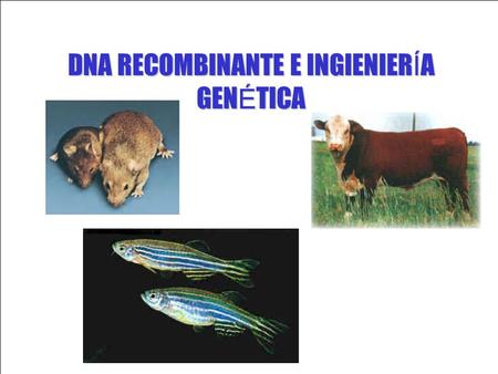 DNA RECOMBINANTE E INGIENIERÍA