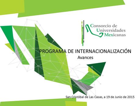 PROGRAMA DE INTERNACIONALIZACIÓN Avances San Cristóbal de Las Casas, a 19 de Junio de 2015.
