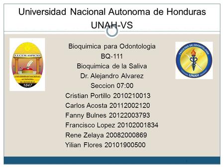 Universidad Nacional Autonoma de Honduras UNAH-VS