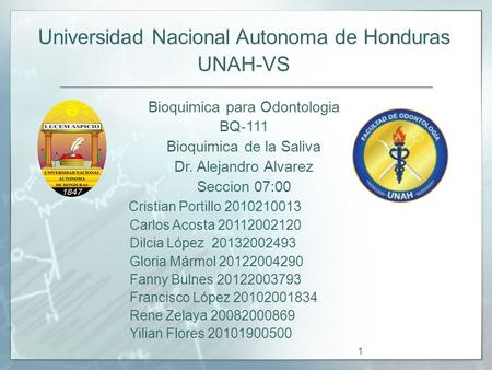 Universidad Nacional Autonoma de Honduras UNAH-VS