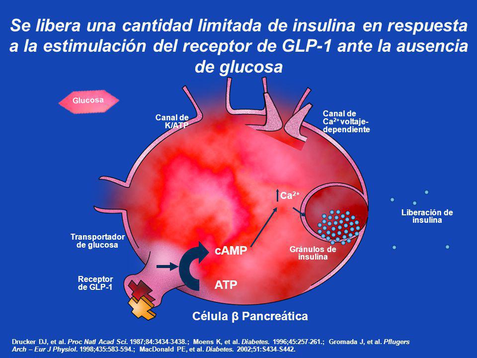 Tratamiento de la Diabetes Tipo 2 - ppt descargar Tratamiento de la Diabetes Tipo 2 - ppt descargar