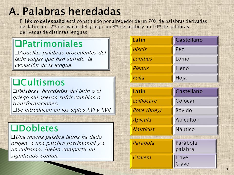 Palabras Procedentes Del Latin 18