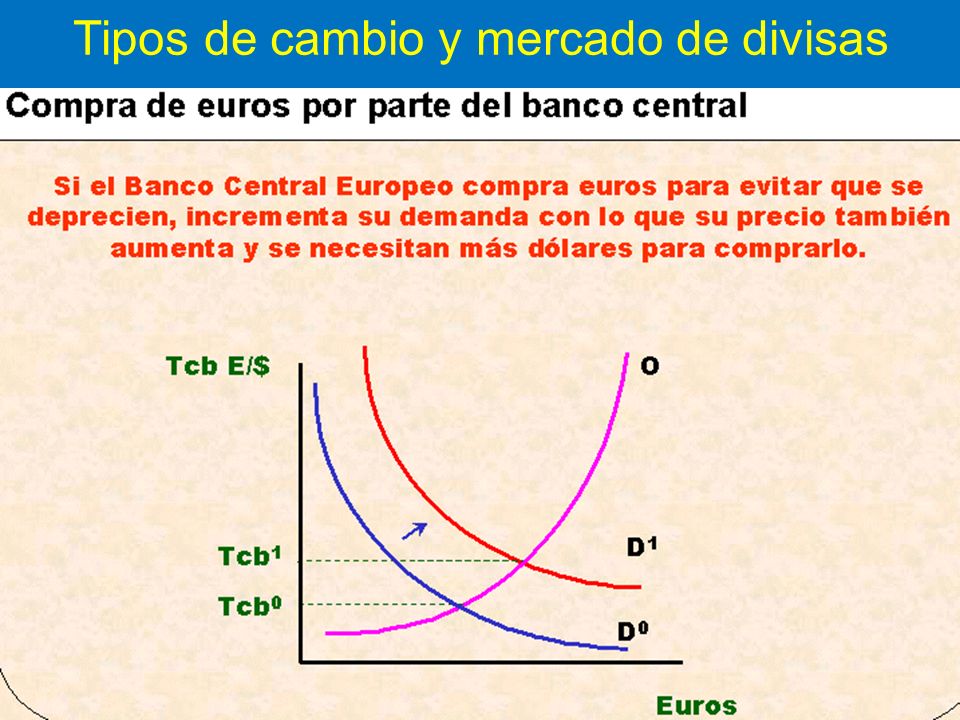 Red directa forex