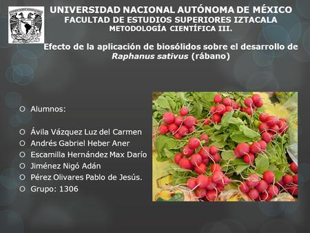 UNIVERSIDAD NACIONAL AUTÓNOMA DE MÉXICO FACULTAD DE ESTUDIOS SUPERIORES IZTACALA METODOLOGÍA CIENTÍFICA III. Efecto de la aplicación de biosólidos sobre.