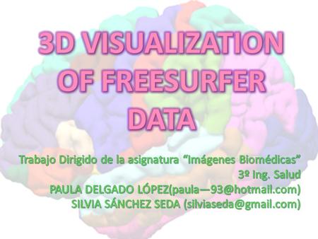 3D VISUALIZATION OF FREESURFER DATA