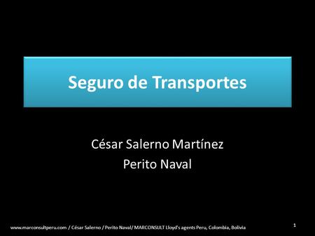 César Salerno Martínez Perito Naval