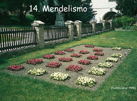 14. Mendelismo Jardín del monasterio agustino de Santo Tomás de Brunn, actual República Checa, donde Mendel realizó sus experimetnos de cruces con el guisante.