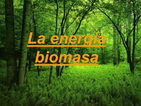 La energía biomasa.
