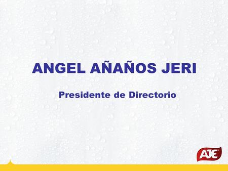 ANGEL AÑAÑOS JERI Presidente de Directorio.