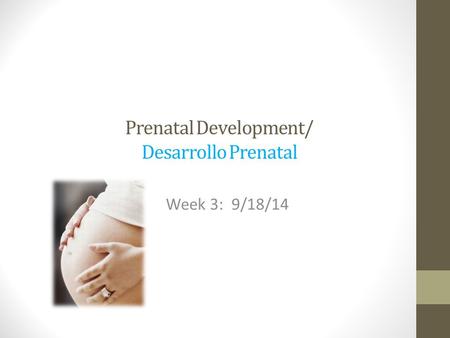 Prenatal Development/ Desarrollo Prenatal Week 3: 9/18/14.