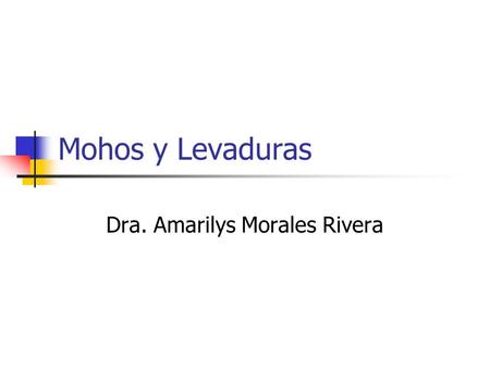 Dra. Amarilys Morales Rivera