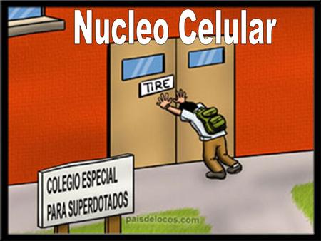 Nucleo Celular.