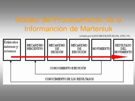 Modelo del Procesamiento de la Informanción de Marteniuk