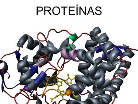 PROTEÍNAS. DOGMA CENTRAL TranscripciónDNA -->RNA Traducción RNA -->Proteínas.
