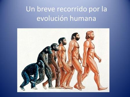 Un breve recorrido por la evolución humana. Clasificación de la especie humana como organismo animal Los seres vivos se clasifican jerárquicamente dentro.