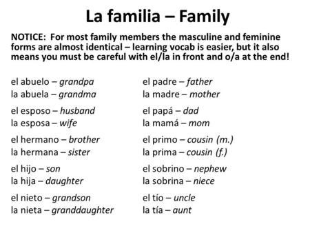 La familia – Family NOTICE: For most family members the masculine and feminine forms are almost identical – learning vocab is easier, but it also means.