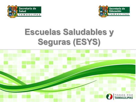 Escuelas Saludables y Seguras (ESYS)
