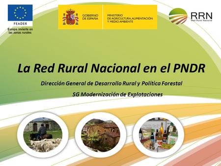 La Red Rural Nacional en el PNDR Dirección General de Desarrollo Rural y Política Forestal SG Modernización de Explotaciones.