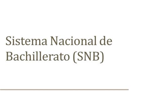 Sistema Nacional de Bachillerato (SNB)