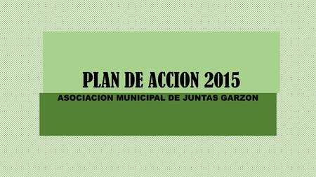PLAN DE ACCION 2015 ASOCIACION MUNICIPAL DE JUNTAS GARZON.
