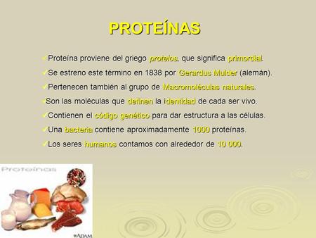 PROTEÍNAS Proteína proviene del griego proteios, que significa primordial. Se estreno este término en 1838 por Gerardus Mulder (alemán). Pertenecen también.