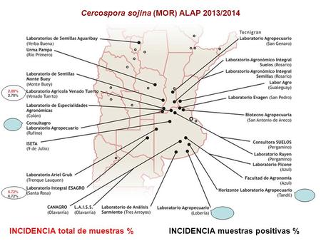 Cercospora sojina (MOR) ALAP 2013/2014 INCIDENCIA total de muestras % 6.72% INCIDENCIA muestras positivas % 2.08% 2.78% Tecnigran.