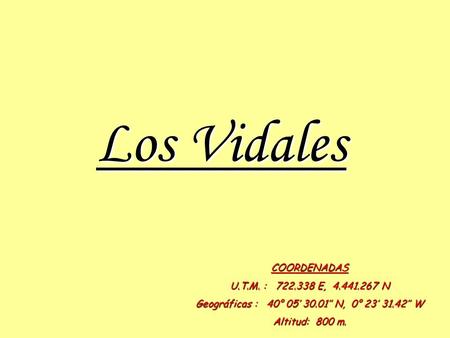 Los Vidales COORDENADAS U.T.M. : 722.338 E, 4.441.267 N Geográficas : 40° 05’ 30.01’’ N, 0° 23’ 31.42’’ W Altitud: 800 m.