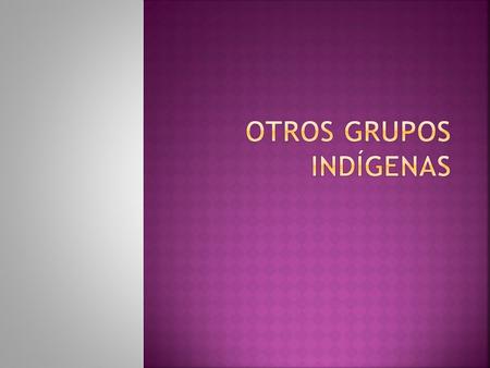 Otros grupos indígenas