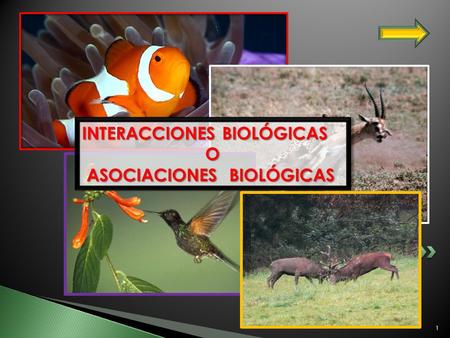 I INTERACCIONES BIOLÓGICAS O ASOCIACIONES BIOLÓGICAS.