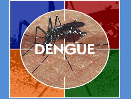 El Dengue.