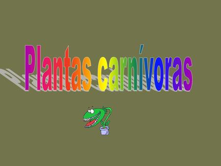 Plantas carnívoras.